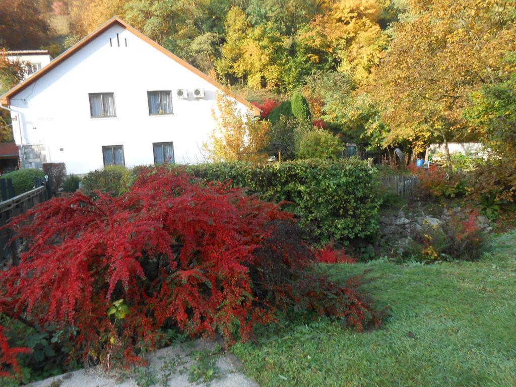 Pereszlenyi Vendeghaz Hotell Visegrád Exteriör bild